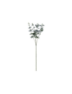 Gałązka Eukaliptus, 60 cm