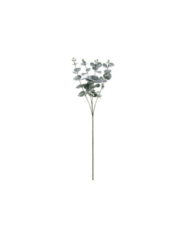 Gałązka Eukaliptus, 60 cm