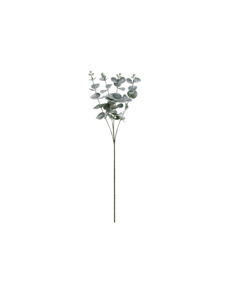 Gałązka Eukaliptus, 60 cm
