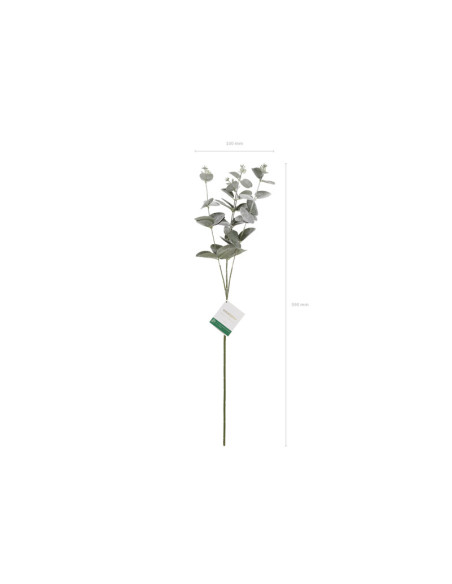 Gałązka Eukaliptus, 60 cm