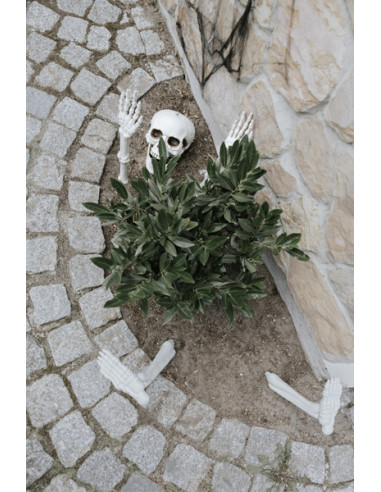 Dekoracja Kościotrup