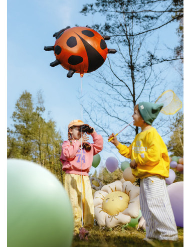 Balon foliowy Biedronka, 85x83 cm, mix
