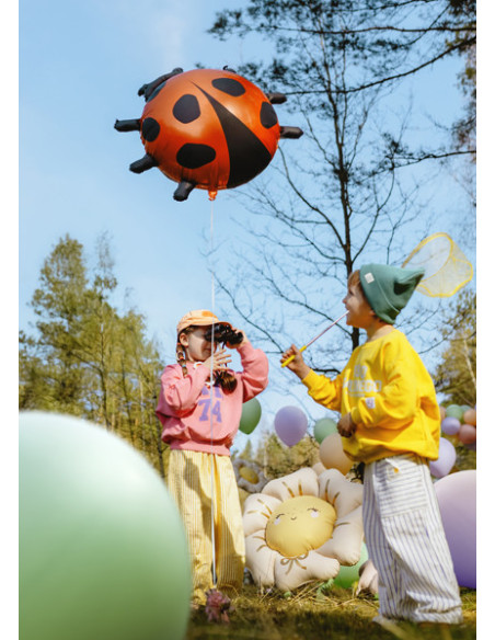 Balon foliowy Biedronka, 85x83 cm, mix