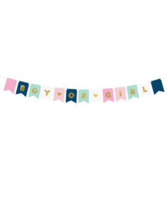 Baner Boy or Girl, mix, 15 x 175 cm