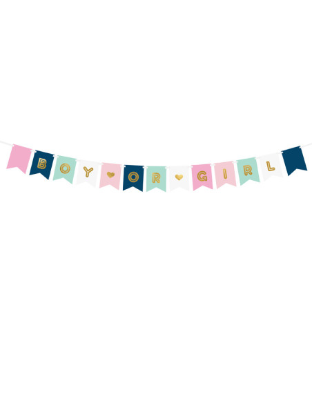 Baner Boy or Girl, mix, 15 x 175 cm